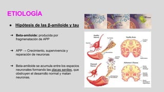 ETIOLOGÍA
● Hipótesis de las β-amiloide y tau
➔ Beta-amiloide: producida por
fragmenatación de APP
➔ APP → Crecimiento, supervivencia y
reparación de neuronas
➔ Beta-amiloide se acumula entre los espacios
neuronales formando las placas seniles, que
obstruyen el desarrollo normal y matan
neuronas.
 