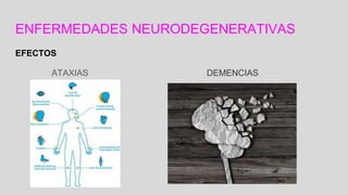 ENFERMEDADES NEURODEGENERATIVAS
EFECTOS
ATAXIAS DEMENCIAS
 