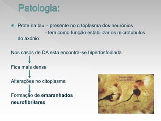Patologia:Proteínatau – presente no citoplasma dos neurónios                         - tem comofunçãoestabilizarosmicrotúbulos do axónioNoscasos de DA estaencontra-se hiperfosforiladaFicamaisdensaAlterações no citoplasmaFormação de emaranhadosneurofibrilares