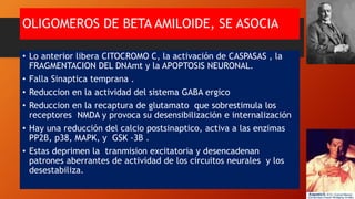 OLIGOMEROS DE BETA AMILOIDE, SE ASOCIA
• Lo anterior libera CITOCROMO C, la activación de CASPASAS , la
FRAGMENTACION DEL DNAmt y la APOPTOSIS NEURONAL.
• Falla Sinaptica temprana .
• Reduccion en la actividad del sistema GABA ergico
• Reduccion en la recaptura de glutamato que sobrestimula los
receptores NMDA y provoca su desensibilización e internalización
• Hay una reducción del calcio postsinaptico, activa a las enzimas
PP2B, p38, MAPK, y GSK -3B .
• Estas deprimen la tranmision excitatoria y desencadenan
patrones aberrantes de actividad de los circuitos neurales y los
desestabiliza.
 