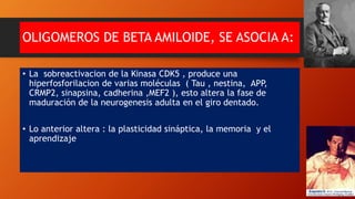 OLIGOMEROS DE BETA AMILOIDE, SE ASOCIA A:
• La sobreactivacion de la Kinasa CDK5 , produce una
hiperfosforilacion de varias moléculas ( Tau , nestina, APP,
CRMP2, sinapsina, cadherina ,MEF2 ), esto altera la fase de
maduración de la neurogenesis adulta en el giro dentado.
• Lo anterior altera : la plasticidad sináptica, la memoria y el
aprendizaje
 