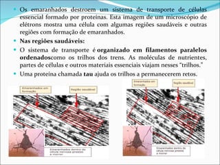 Os emaranhados destroem um sistema de transporte de células essencial formado por proteínas. Esta imagem de um microscópio de elétrons mostra uma célula com algumas regiões saudáveis e outras regiões com formação de emaranhados. Nas regiões saudáveis: O sistema de transporte é  organizado em filamentos paralelos ordenados como os trilhos dos trens. As moléculas de nutrientes, partes de células e outros materiais essenciais viajam nesses “trilhos.” Uma proteína chamada  tau  ajuda os trilhos a permanecerem retos. 