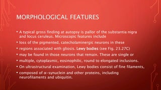 MORPHOLOGICAL FEATURES
• A typical gross finding at autopsy is pallor of the substantia nigra
and locus ceruleus. Microscopic features include
• loss of the pigmented, catecholaminergic neurons in these
• regions associated with gliosis. Lewy bodies (see Fig. 23.27C)
• may be found in those neurons that remain. These are single or
• multiple, cytoplasmic, eosinophilic, round to elongated inclusions.
• On ultrastructural examination, Lewy bodies consist of fine filaments,
• composed of α-synuclein and other proteins, including
neurofilaments and ubiquitin.
 