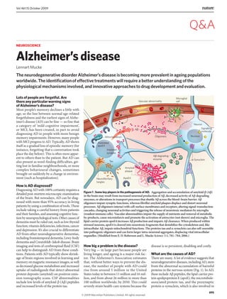 Lots of people are forgetful. Are
there any particular warning signs
of Alzheimer’s disease?
Most people’s memory declines a little with
age, so the line between normal age-related
forgetfulness and the earliest signs of Alzhe-
imer’s disease (AD) can be fine — so fine that
a category of ‘mild cognitive impairment’,
or MCI, has been created, in part to avoid
diagnosing AD in people with more benign
memory impairments. However, many people
with MCI progress to AD. Typically, AD shows
itself as a gradual loss of episodic memory (for
instance, forgetting that a conversation took
place the day before). This is often more appar-
ent to others than to the patient. But AD can
also present as word-finding difficulties, get-
ting lost in familiar neighbourhoods, or more
complex behavioural changes, sometimes
brought on suddenly by a change in environ-
ment (such as hospitalization).
How is AD diagnosed?
Diagnosing AD with 100% certainty requires a
detailedpost-mortemmicroscopicexamination
of the brain. But nowadays, AD can be diag-
nosed with more than 95% accuracy in living
patients by using a combination of tools. These
include taking a careful history from patients
and their families, and assessing cognitive func-
tionbyneuropsychologicaltests.Othercausesof
dementia must be ruled out, such as low thyroid
function,vitamindeficiencies,infections,cancer
and depression. It’s also crucial to differentiate
AD from other neurodegenerative dementias,
includingfrontotemporaldementia,Lewy-body
dementia and Creutzfeldt–Jakob disease. Brain
imaging and tests of cerebrospinal fluid (CSF)
can help to distinguish AD from these condi-
tions. Patients with AD typically show shrink-
age of brain regions involved in learning and
memory on magnetic resonance images, as well
as decreased glucose metabolism and increased
uptake of radioligands that detect abnormal
protein deposits (amyloid) on positron emis-
sion tomography scans. CSF abnormalities
include low levels of amyloid-β (Aβ) peptides
and increased levels of the protein tau.
How big a problem is the disease?
Very big — in large part because people are
living longer, and ageing is a major risk fac-
tor. The Alzheimer’s Association estimates
that, without better ways to prevent the dis-
ease, the number of people with AD could
rise from around 5 million in the United
States today to between 11 million and 16 mil-
lion, and from about 26 million to more than
100 million worldwide, by 2050. This could
severely strain health-care systems because the
disease is so persistent, disabling and costly.
What are the causes of AD?
There are many. A lot of evidence suggests that
neurodegenerative diseases, including AD, stem
from the abnormal accumulation of harmful
proteins in the nervous system (Fig. 1). In AD,
these include Aβ peptides, the lipid-carrier pro-
tein apolipoprotein E (apoE), the microtubule-
associated protein tau, and the presynaptic
protein α-synuclein, which is also involved in
NEUROSCIENCE
Alzheimer’sdisease
Lennart Mucke
The neurodegenerative disorder Alzheimer’s disease is becoming more prevalent in ageing populations
worldwide. The identification of effective treatments will require a better understanding of the
physiological mechanisms involved, and innovative approaches to drug development and evaluation.
Figure 1 | Some key players in the pathogenesis of AD. Aggregation and accumulation of amyloid-β (Aβ)
in the brain may result from increased neuronal production of Aβ, decreased activity of Aβ-degrading
enzymes, or alterations in transport processes that shuttle Aβ across the blood–brain barrier. Aβ
oligomers impair synaptic functions, whereas fibrillar amyloid plaques displace and distort neuronal
processes. Aβ oligomers interact with cell-surface membranes and receptors, altering signal-transduction
cascades, changing neuronal activities and triggering the release of neurotoxic mediators by microglia
(resident immune cells). Vascular abnormalities impair the supply of nutrients and removal of metabolic
by-products, cause microinfarcts and promote the activation of astrocytes (not shown) and microglia. The
lipid-carrier protein apoE4 increases Aβ production and impairs Aβ clearance. When produced within
stressed neurons, apoE4 is cleaved into neurotoxic fragments that destabilize the cytoskeleton and, like
intracellular Aβ, impair mitochondrial functions. The proteins tau and α-synuclein can also self-assemble
into pathogenic oligomers and can form larger intra-neuronal aggregates, displacing vital intracellular
organelles. (Modified from E. D. Roberson and L. Mucke Science 314, 781–784; 2006.)
AC
Oligomers
Amyloid
plaque
Signalling
molecule
ApoE4
B-Synuclein
Truncated
apoE4
Mitochondrion
Neuroﬁbrillary
tangles
Tau
Impaired
synapse
Nucleus
Neuron
AC-degrading
enzyme
Vascular abnormality
Microglial
cell
895
Vol 461|15 October 2009
Q&A
© 2009 Macmillan Publishers Limited. All rights reserved
 