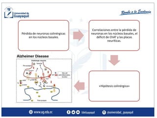 ALZHEIMER FISIOPATOLOGÍA.pptx