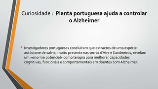 Curiosidade : Planta portuguesa ajuda a controlar
o Alzheimer
• Investigadores portugueses concluíram que extractos de uma espécie
autóctone de salvia, muito presente nas serras d'Aire e Candeeiros, revelam
um «enorme potencial» como terapia para melhorar capacidades
cognitivas, funcionais e comportamentais em doentes com Alzheimer.
 