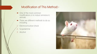Modification of This Method:-
 One of the most common
modifications is to induce amnesia in
animals.
 There are different methods to do so
including
1. Electroconvulsive shock
2. Scopolamine
3. Alcohol
 