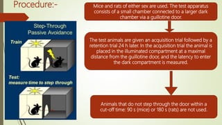 Procedure:- Mice and rats of either sex are used. The test apparatus
consists of a small chamber connected to a larger dark
chamber via a guillotine door.
The test animals are given an acquisition trial followed by a
retention trial 24 h later. In the acquisition trial the animal is
placed in the illuminated compartment at a maximal
distance from the guillotine door, and the latency to enter
the dark compartment is measured.
Animals that do not step through the door within a
cut-off time: 90 s (mice) or 180 s (rats) are not used.
 
