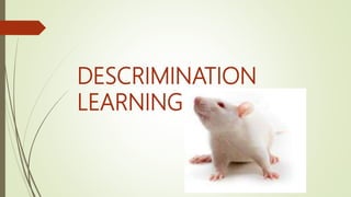 DESCRIMINATION
LEARNING
 