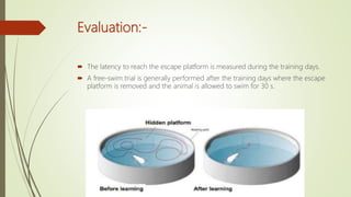 Evaluation:-
 The latency to reach the escape platform is measured during the training days.
 A free-swim trial is generally performed after the training days where the escape
platform is removed and the animal is allowed to swim for 30 s.
 