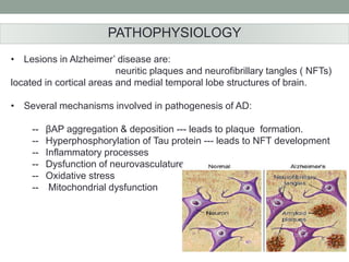 PATHOPHYSIOLOGY 
• Lesions in Alzheimer’ disease are: 
neuritic plaques and neurofibrillary tangles ( NFTs) 
located in cortical areas and medial temporal lobe structures of brain. 
• Several mechanisms involved in pathogenesis of AD: 
-- βAP aggregation & deposition --- leads to plaque formation. 
-- Hyperphosphorylation of Tau protein --- leads to NFT development 
-- Inflammatory processes 
-- Dysfunction of neurovasculature 
-- Oxidative stress 
-- Mitochondrial dysfunction 
 