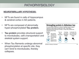 PATHOPHYSIOLOGY 
NEUROFIBRILLARY HYPOTHESIS: 
• NFTs are found in cells of hippocampus 
& cerebral cortex in AD patients. 
• NFTs are composed of abnormally 
hyper-phosphorylated Tau protein. 
• Tau protein provides structural support 
to microtubules, cell’s transportation and 
skeletal system support. 
• When Tau filaments undergo abnormal 
phosphorylation at specific site, they 
can’t bind to microtubules, thereby 
collapses. 
 