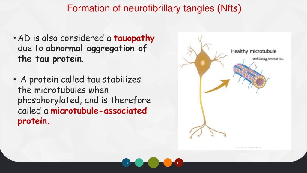 biochemistry-of-alzheimers-disease