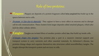 Role of two proteins:
Plaques: Plaques are deposits of a protein fragment called beta-amyloid that build up in the
spaces between nerve cells.
 (Increase in Size due to deposits): They appear to have a toxic effect on neurons and to disrupt
cell-to-cell communication. These clusters form larger deposits called amyloid plaques, which also
include other cellular debris.
Tangles: Tangles are twisted fibres of another protein called tau, that build up inside cells.
 (Changes shape into tangles): Tau proteins play a part in a neuron's internal support and
transport system to carry nutrients and other essential materials. In Alzheimer's disease, tau
proteins change shape and organize themselves into structures called neurofibrillary tangles. The
tangles disrupt the transport system and are toxic to cells.
 