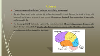 Causes
 The exact causes of Alzheimer's disease aren't fully understood.
 But at a basic level, brain proteins fail to f...