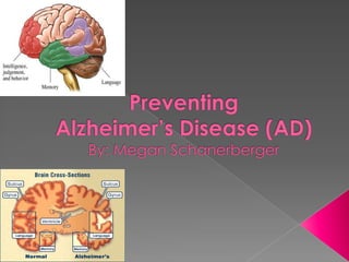 Preventing Alzheimer’s Disease (AD)By: Megan Schanerberger 