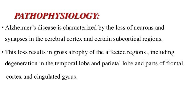 alzheimers disease ppt alzheimer s disease ppt