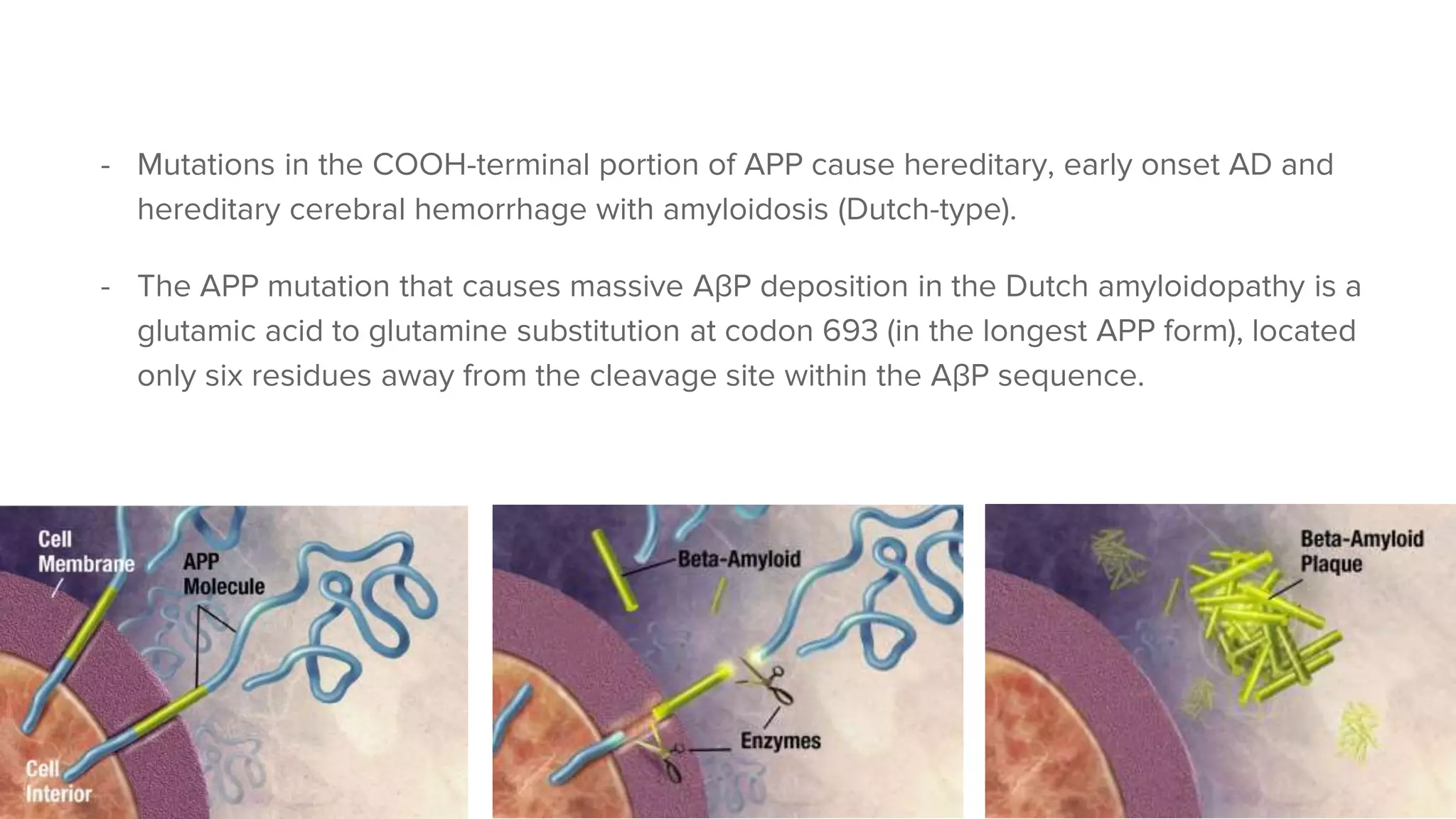 Alzheimer’s disease the amyloid cascade hypothesis presentation | PPTX