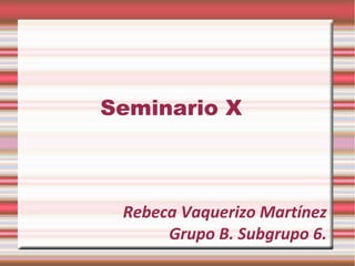 Seminario X 
Rebeca Vaquerizo Martínez 
Grupo B. Subgrupo 6. 
 