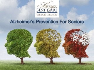 Alzheimer’s Prevention For Seniors 
 