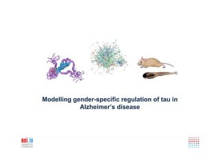 Modelling gender-specific regulation of tau in
Alzheimer’s disease
 