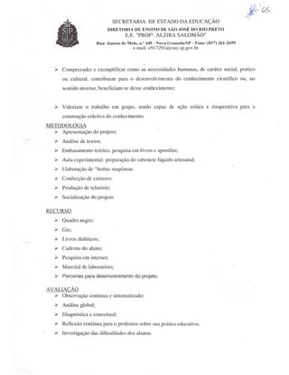 Plano Gestão EE Profa Alzira Salomão