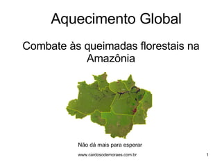 Combate às queimadas florestais na Amazônia Não dá mais para esperar Aquecimento Global 
