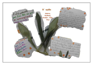 Β΄ ομάδα
Χρήζηος,
Θεοδόζες,
Γιηζάβεη, Λσδία,
Όιγα

 