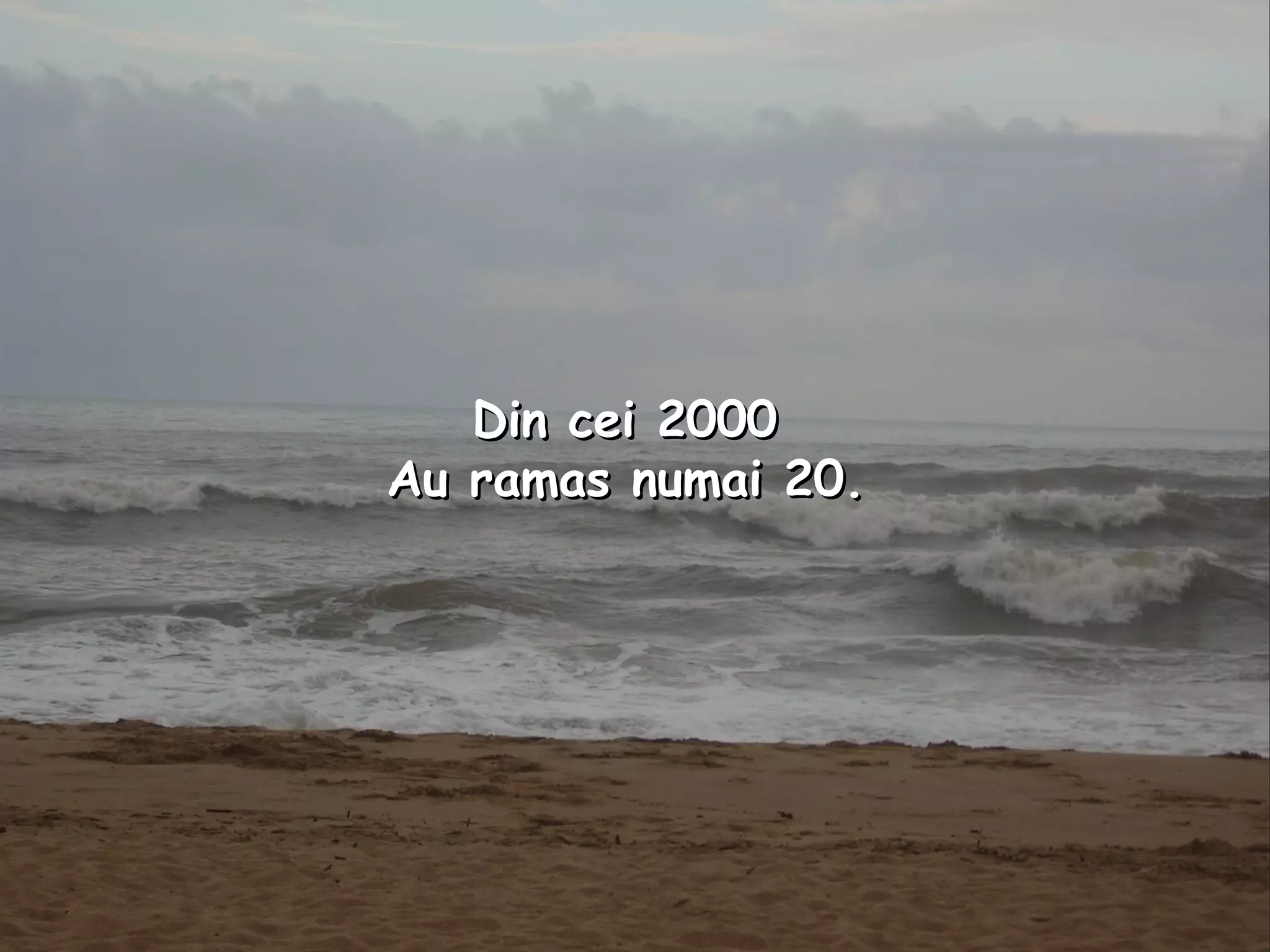 Din cei 2000  Au ramas numai 20.   