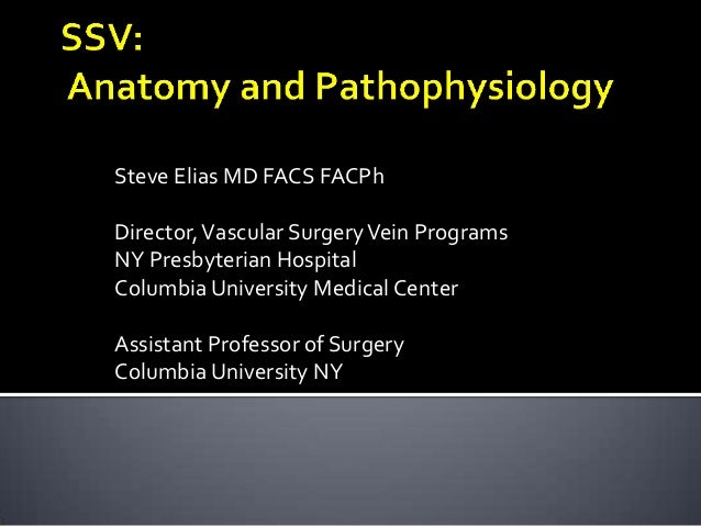Physician Assistant Programs In Ny >> SSV: Anatomy & Pathophysiology Physician Assistant Programs In Ny >> SSV: Anatomy & Pathophysiology