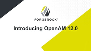 Introducing OpenAM 12.0
 