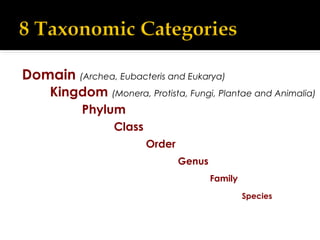 How Many Animal Domain Animal Morphology : Animal Classification, Phylogeny and Organization | PPT