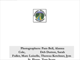 Photographers: Pam Bell, Alanna
     Cole,            Deb Dutton, Sarah
Fuller, Marc Loiselle, Theresa Kerchner, Jym
 