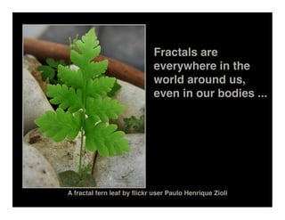 Fractals are
                             everywhere in the
                             world around us,
                             even in our bodies ...




A fractal fern leaf by ﬂickr user Paulo Henrique Zioli
 
