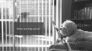 When are they active?
 