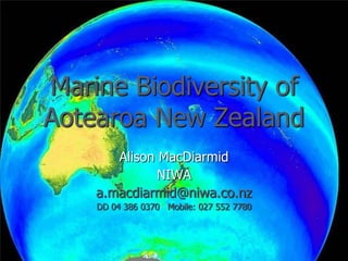 Marine Biodiversity of Aotearoa New Zealand Alison MacDiarmid NIWA [email_address] DD 04 386 0370  Mobile: 027 552 7780 Image courtesy of GeoEye/NASA 