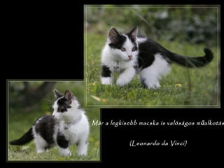 Már a legkisebb macska is valóságos m alkotásű

(Leonardo da Vinci)
 