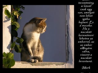 Isten
teremtmény
ei közül
csak egy
van, amelyet
nem lehet
igába
hajtani. Ez
a macska.
Ha a
macskát
keresztezni
lehetne az
emberrel, az
az ember
el nyéreő
válna,
viszont a
macskát
lerontaná.

(Mark
 