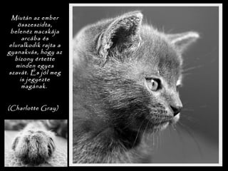 Miután az ember
összeszidta,
belenéz macskája
arcába és
eluralkodik rajta a
gyanakvás, hogy az
bizony értette
minden egyes
szavát. És jól meg
is jegyezte
magának.

(Charlotte Gray)
 
