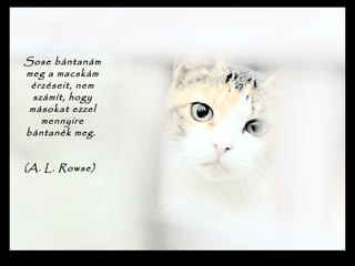 
Sose bántanám
meg a macskám
érzéseit, nem
számít, hogy
másokat ezzel
mennyire
bántanék meg.

(A. L. Rowse)
 