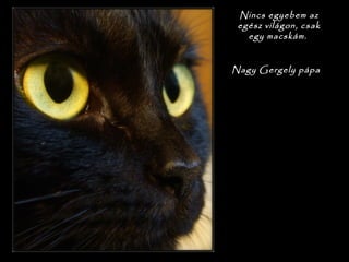 Nincs egyebem az
egész világon, csak
egy macskám.

Nagy Gergely pápa
 