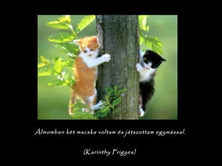 Álmomban két macska voltam és játszottam egymással.

(Karinthy Frigyes)
 