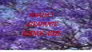 AMADA Y
ATRAPANTE
BUENOS AIRES
 