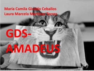 María Camila Giraldo Ceballos
Laura Marcela Martínez Torres
GDS-
AMADEUS
 