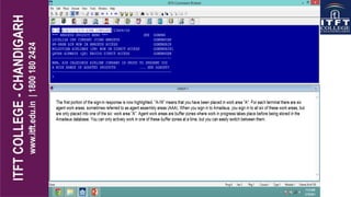 ITFT - Amadeus 1