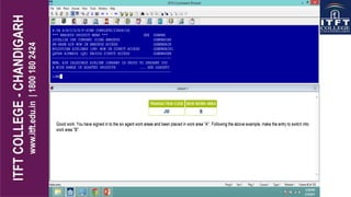 ITFT - Amadeus 1