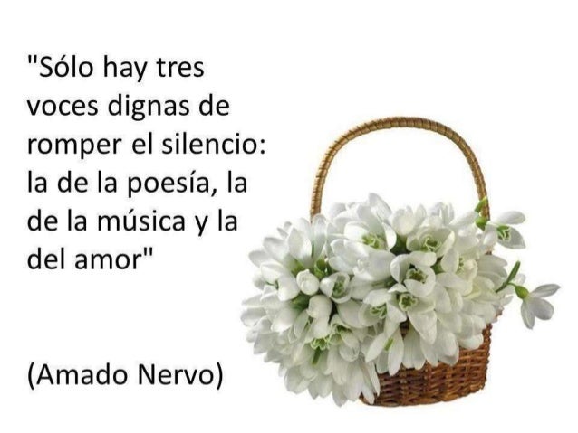 Afbeeldingsresultaat voor poemas de amado nervo