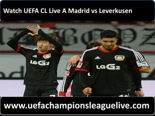 Watch UEFA CL Live A Madrid vs Leverkusen
www.uefachampionsleaguelive.com
 