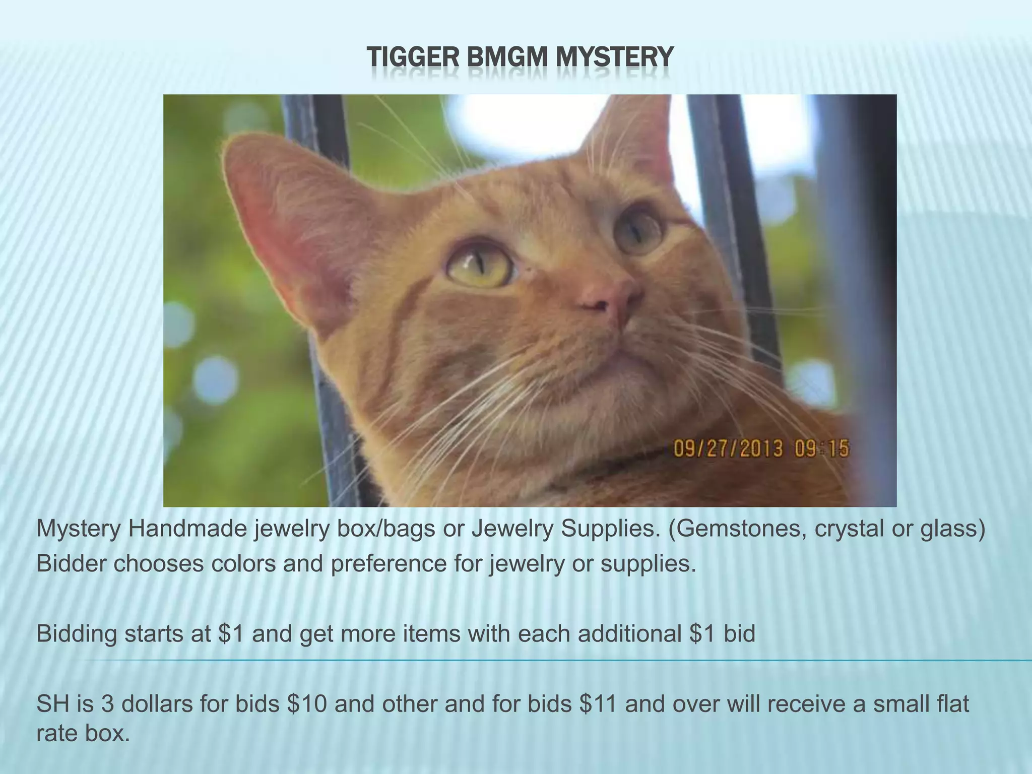 TIGGER BMGM MYSTERY

Mystery Handmade jewelry box/bags or Jewelry Supplies. (Gemstones, crystal or glass)
Bidder chooses colors and preference for jewelry or supplies.
Bidding starts at $1 and get more items with each additional $1 bid
SH is 3 dollars for bids $10 and other and for bids $11 and over will receive a small flat
rate box.

 