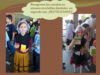 Recogemos las castañas en
envases reciclables dándoles un
segundo uso, ¡REUTILIZANDO!
 